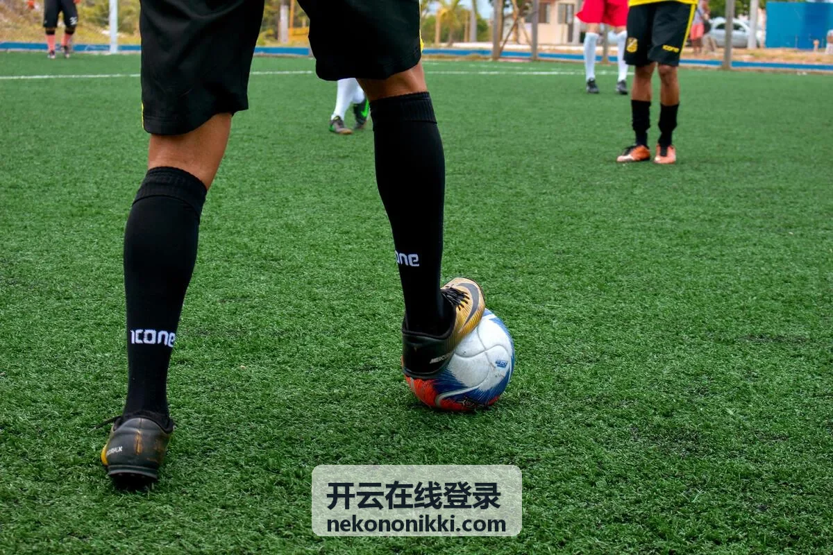 开云在线登录账号绑定与团队角色权限分配