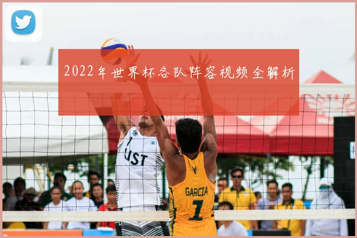 2022年世界杯各队阵容视频全解析