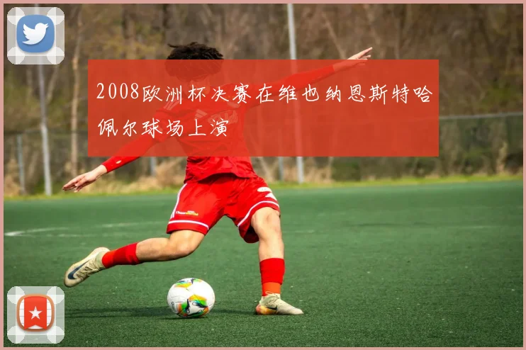 2008欧洲杯决赛在维也纳恩斯特哈佩尔球场上演