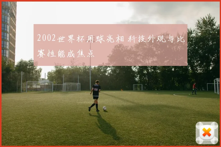 2002世界杯用球亮相 科技外观与比赛性能成焦点