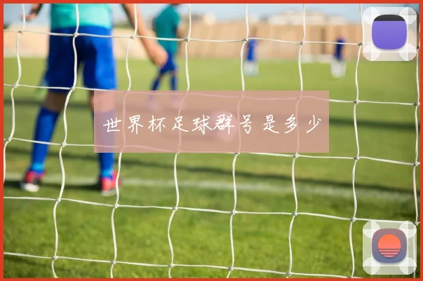 世界杯足球群号是多少