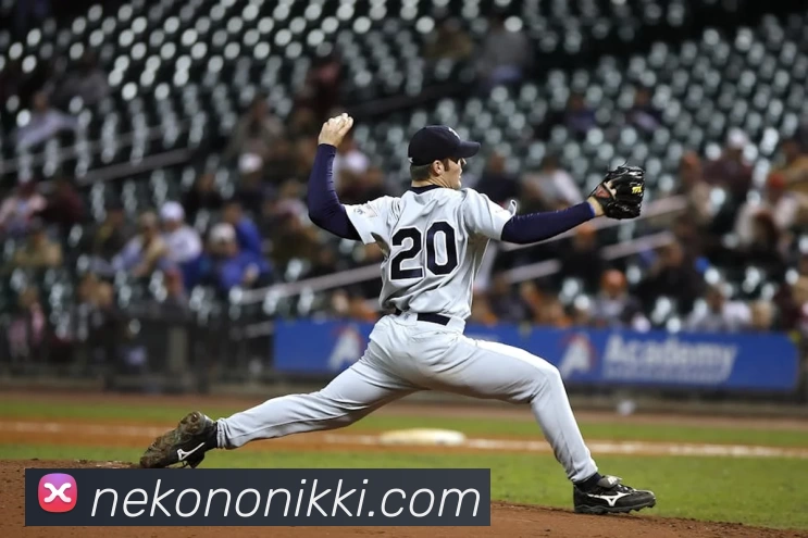 mk体育在线平台生态图